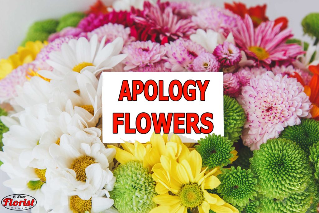 apology flowers Denver